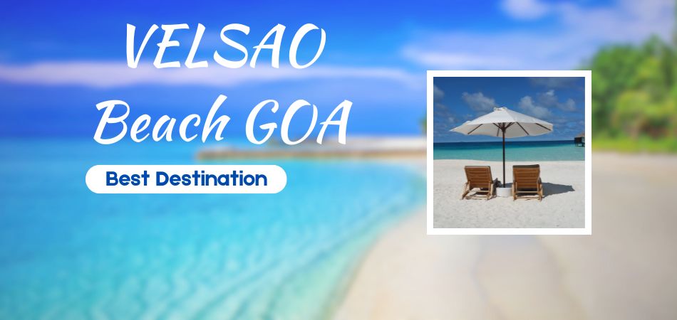 Velsao Beach Goa, India ( Location, Nightlife , Activities)