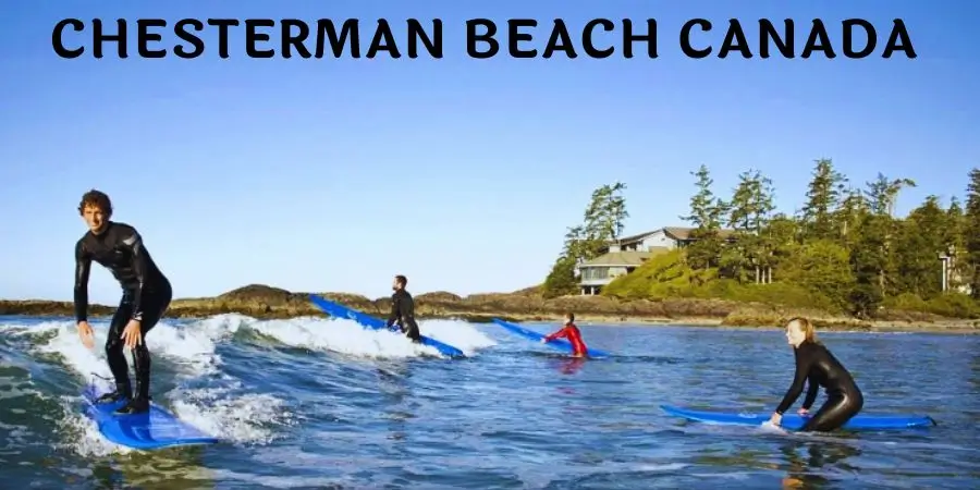 Scenic view of Chesterman Beach with waves and surfers in Tofino