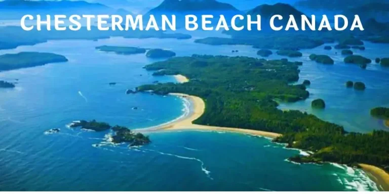 Scenic view of Chesterman Beach with waves and surfers in Tofino