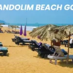 CANDOLIM BEACH GOA IMAGE