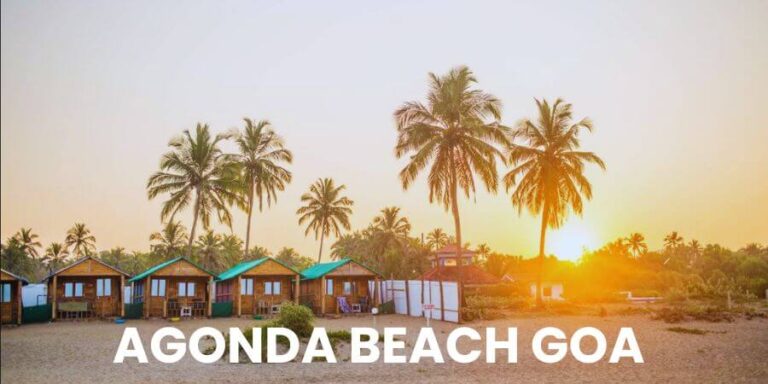 agonda beach goa image