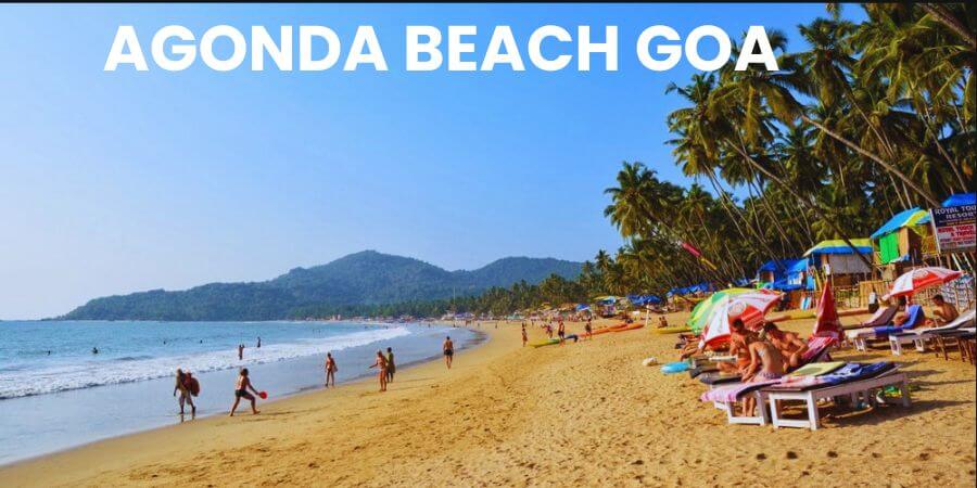 agonda beach goa image