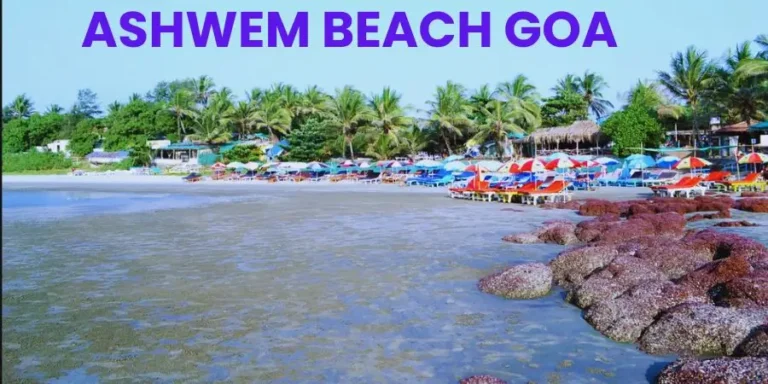 ashvem beach goa india image