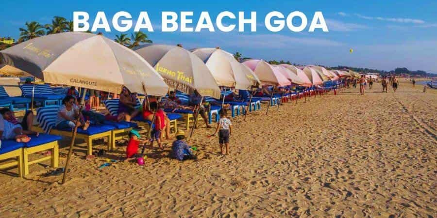 baga beach goa image