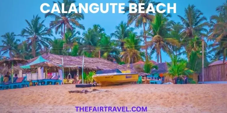 calangute beach goa image