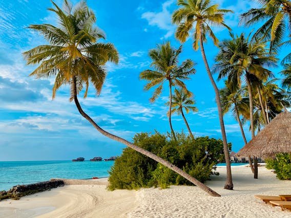 purva palm beach india